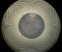 cornea_pattern.jpg