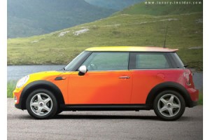 mini-chameleon-coche