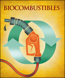 biocombustibles